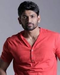 Vishal Punna